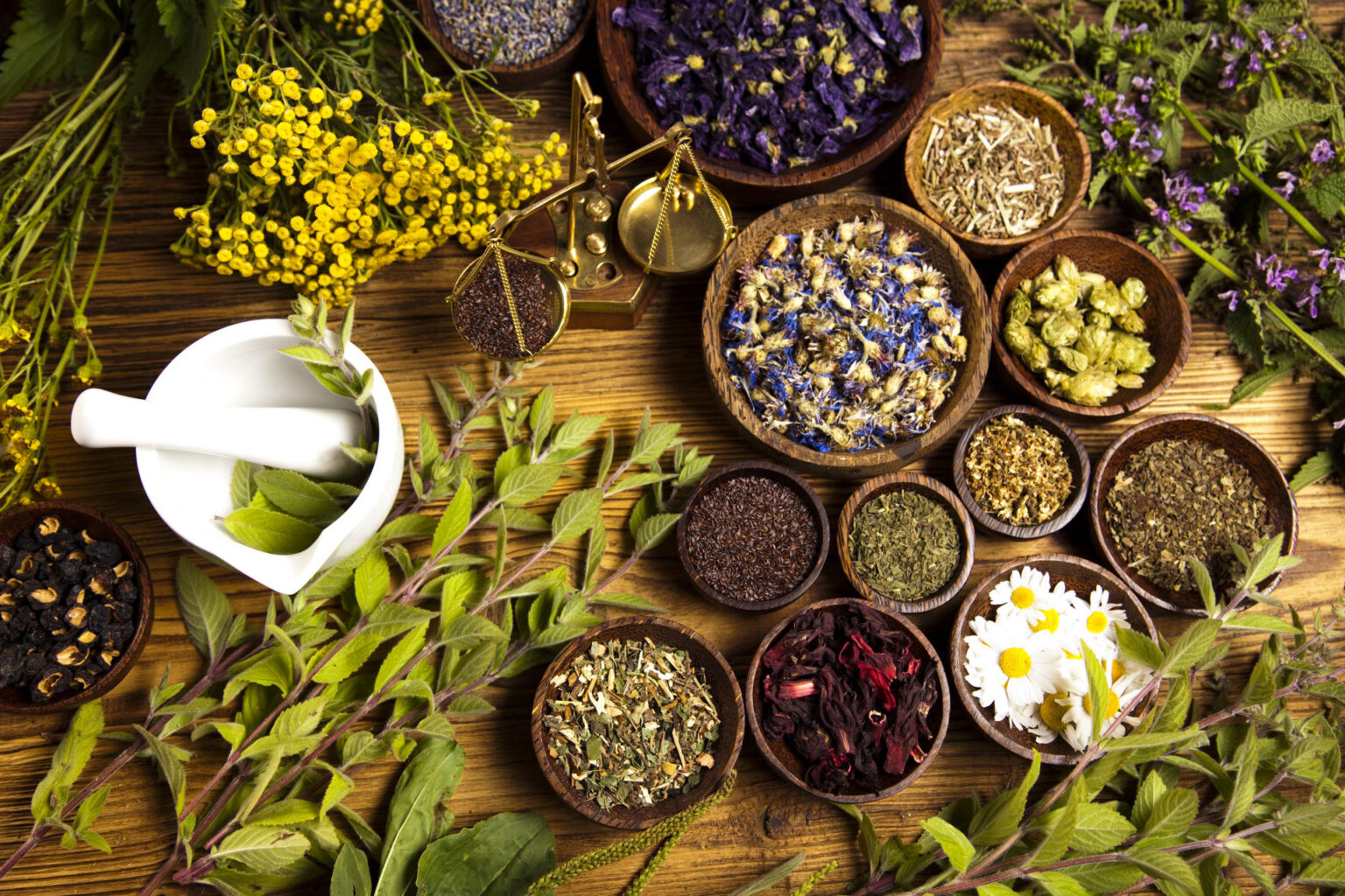 Beleza que Cura: 6 Flores e seus Benefícios para a Saúde