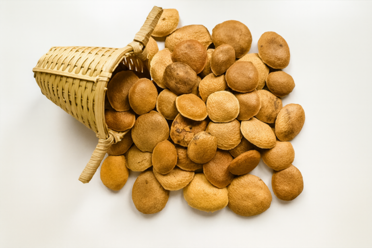 Sucupira, o antioxidante perfeito para a imunidade